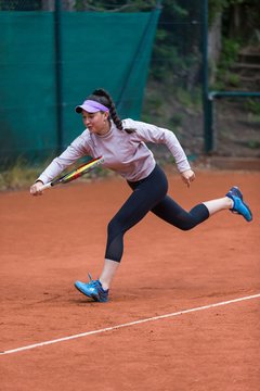 Bild 659 - BL Club an der Alster - THC von Horn und Hamm : Ergebnis: 9:0